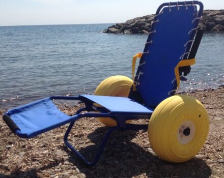 Progetto Delfino 2025