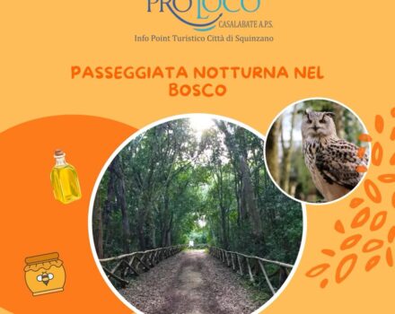 Passeggiata notturna nel bosco a Rauccio!