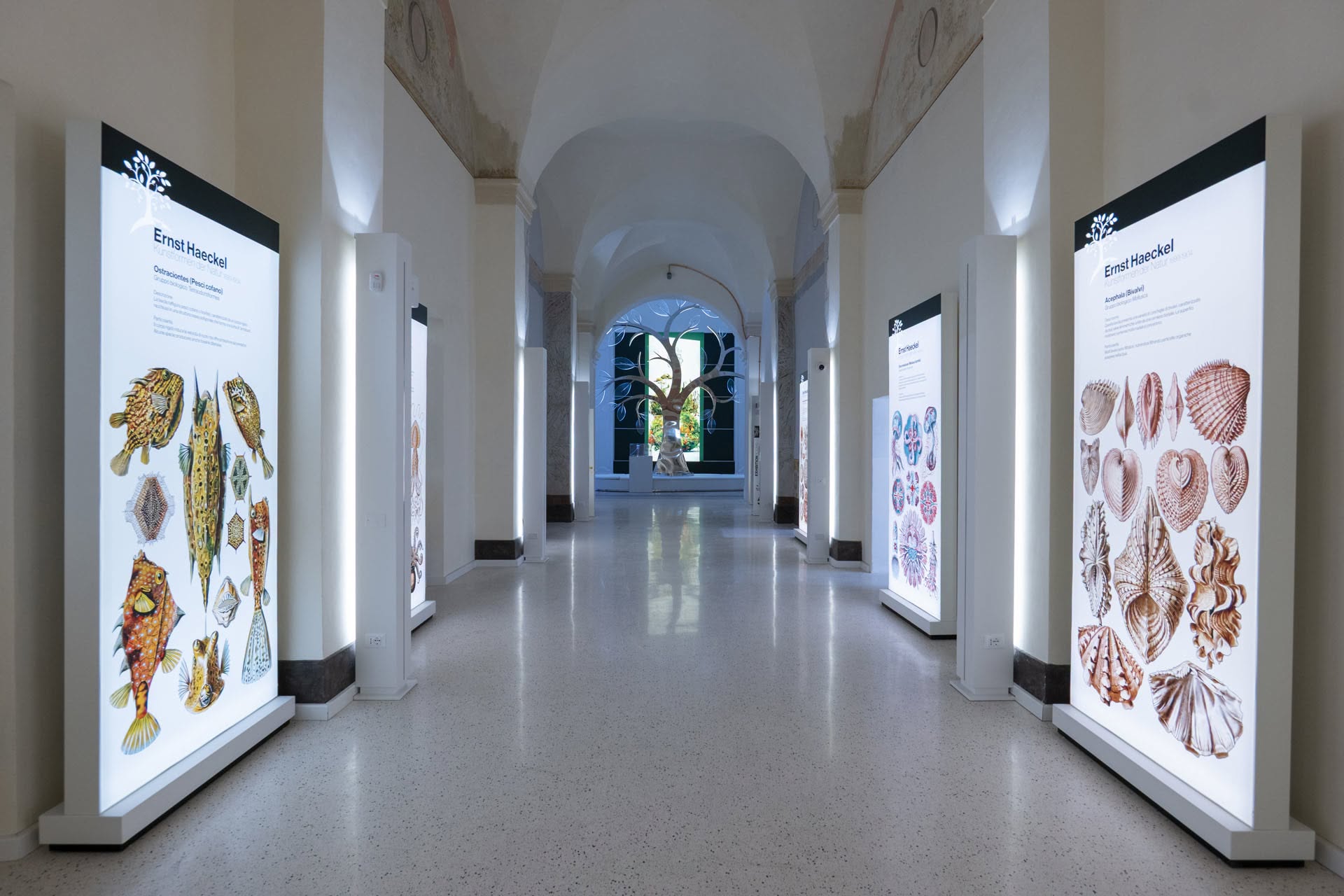 A Lecce la cultura non va in vacanza: luoghi del Polo biblio museale